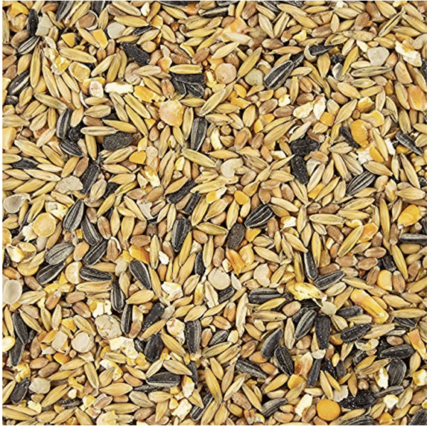 My Little Farm Bio-Entenkorn, 10 kg, vollwertiges Ganzjahresfutter für Enten, bedarfsgerecht mineralisiert und vitaminisiert, Alleinfuttermittel in Bio-Qualität – Bild 2