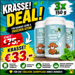 BeG Buddy Blende Z Zahnpulver Pfefferminz – 3 × 150 g – MHD/Chargen 08–12/2026