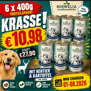 Betty’s Landhausküche Rentier & Kartoffel – 6 × 400 g – Alleinfuttermittel für ausgewachsene Hunde - MHD Chargen 01-08.2026