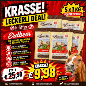 KIEFFER Leckerli Erdbeer für Pferde – 5 × 1 kg Vorteilspack - MHD Chargen 05-10.2026